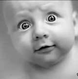 ������ ��� nevzorov