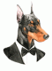 DOBERMAN