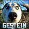   Gestein